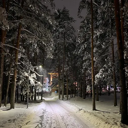 Mount Obradovic Daire