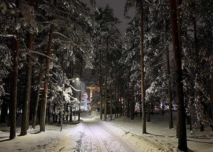 Mount Obradovic Appartamento